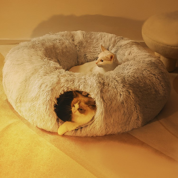 Katzentunnel mit Bettchen